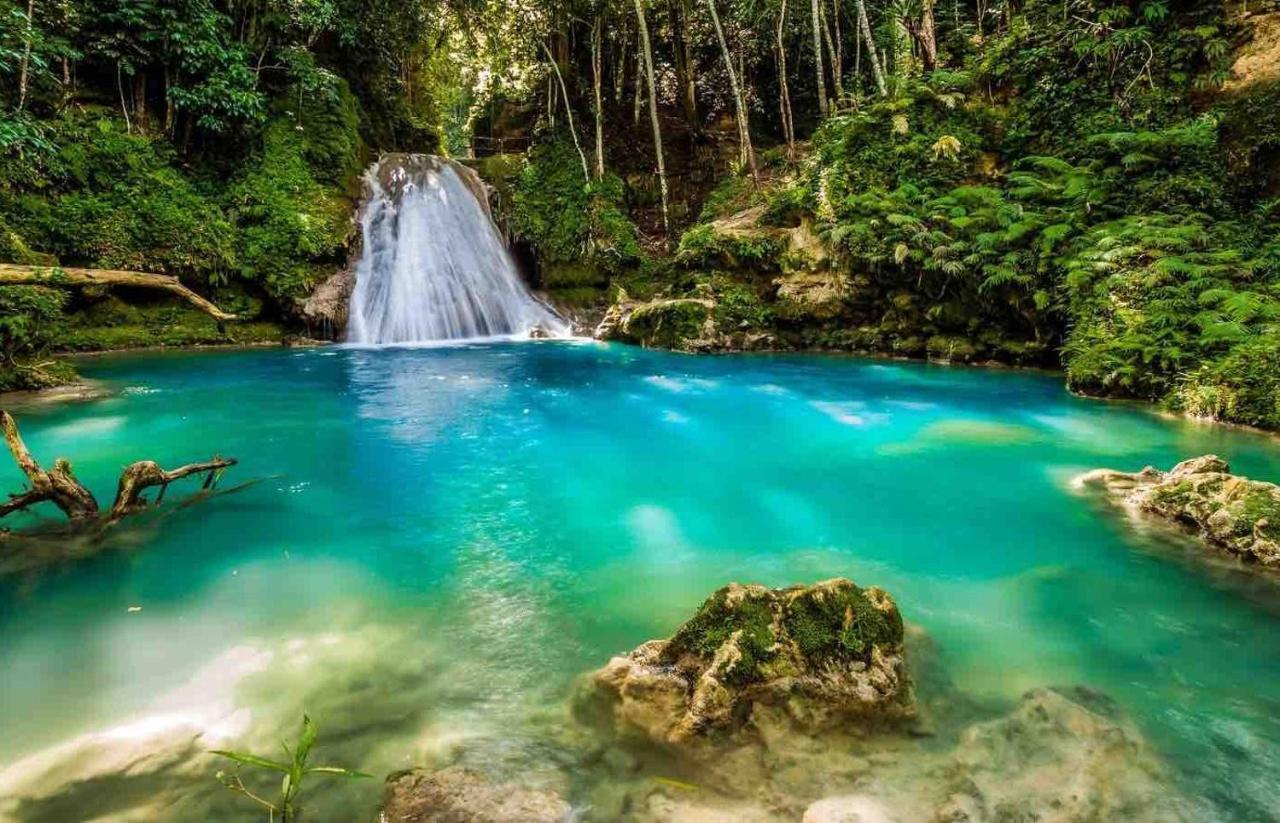 The Roseville Ocho Rios Eksteriør bilde